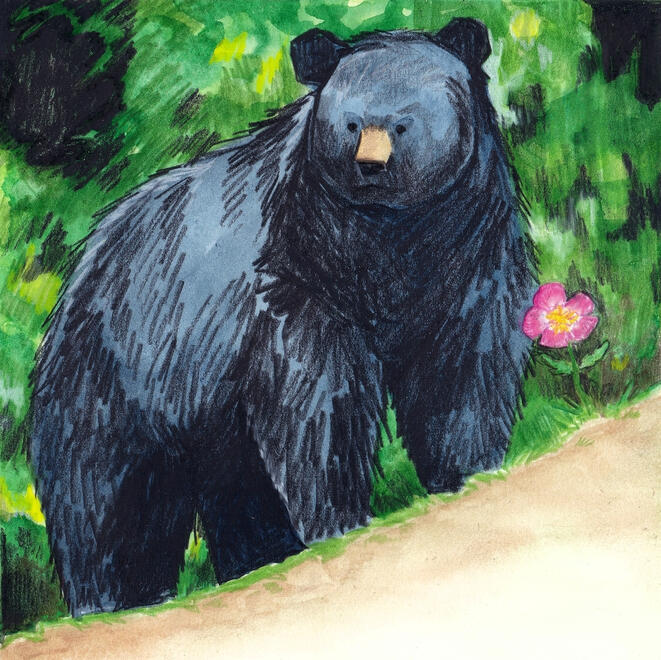 black bear painting