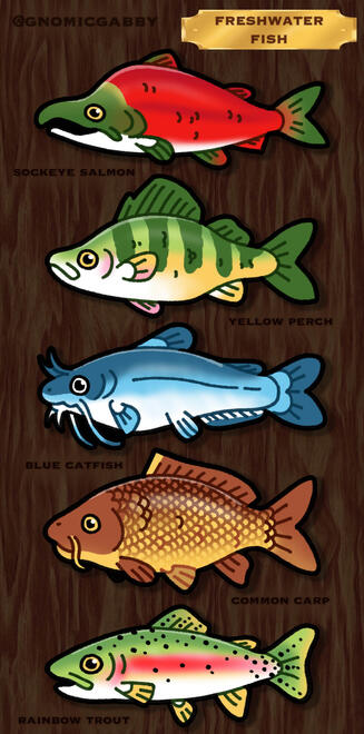 freshwater fish sticker sheet