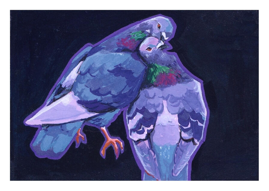 lovely pigeons painting